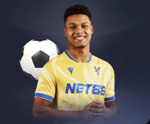 金刚app下载安装